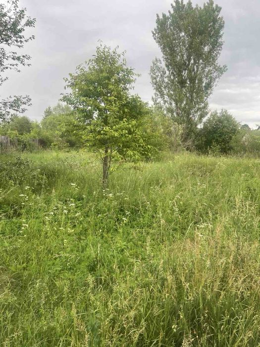 Продам земельну ділянку