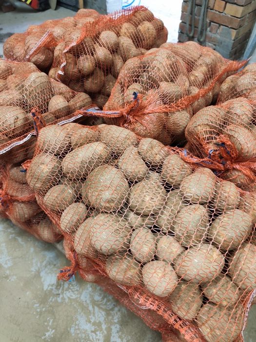 ziemniaki od rolnika