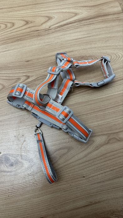 Regulowany Szelki i Smycz dla Psa