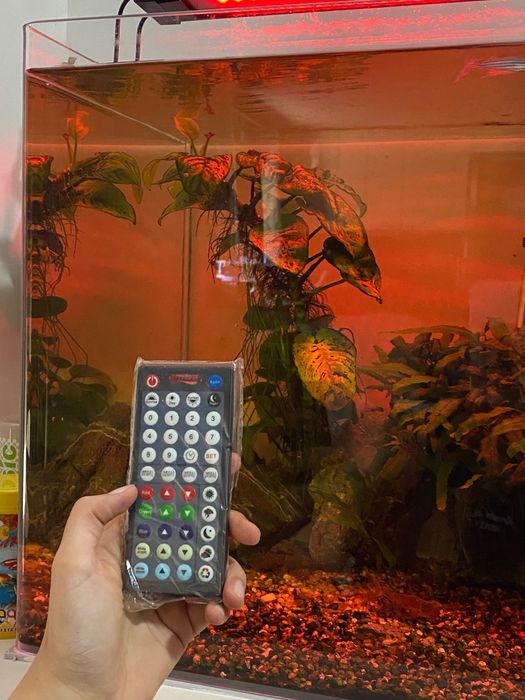 Aquário de 80 Litros