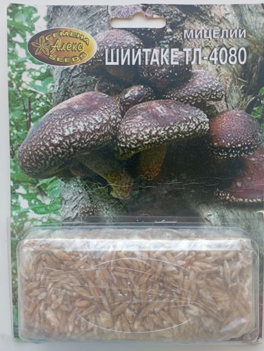 Семена грибов шиитаке ТЛ-4080