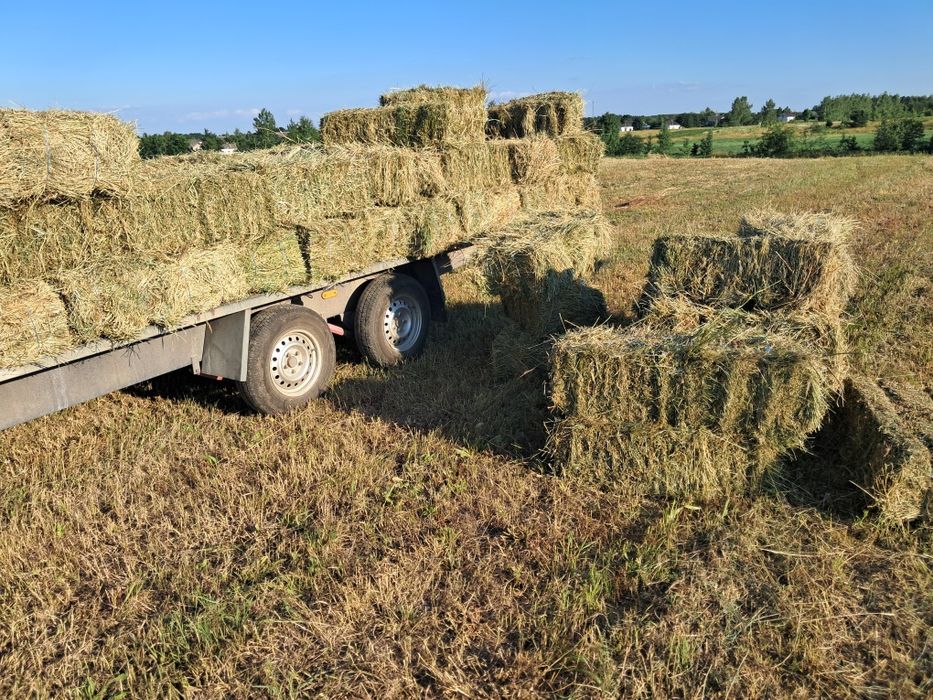 Продам свіже сіно!