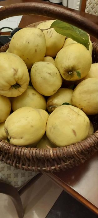 Świeża pigwa z ekologicznego sadu – 15 zł/kg