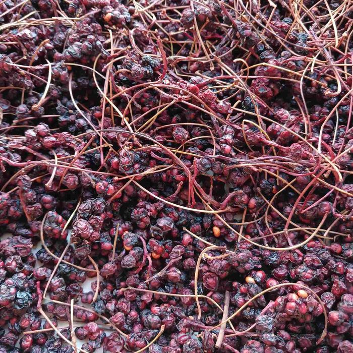 Лимонник китайський ягоди сушені ( Schizandra chinensis )