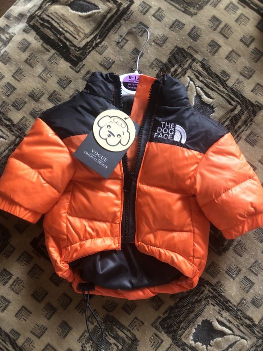 Одежда для собак