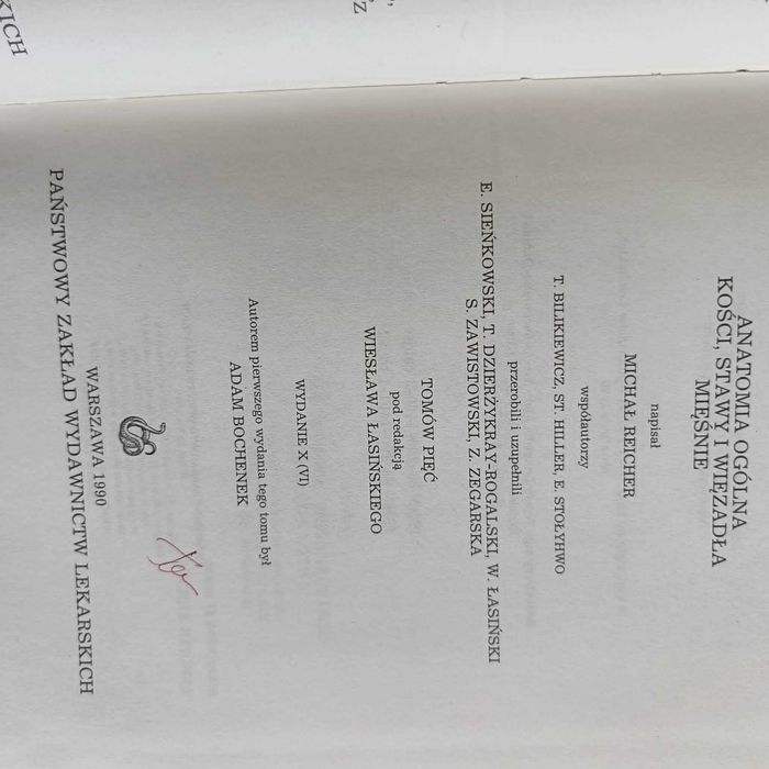 anatomia bochenek