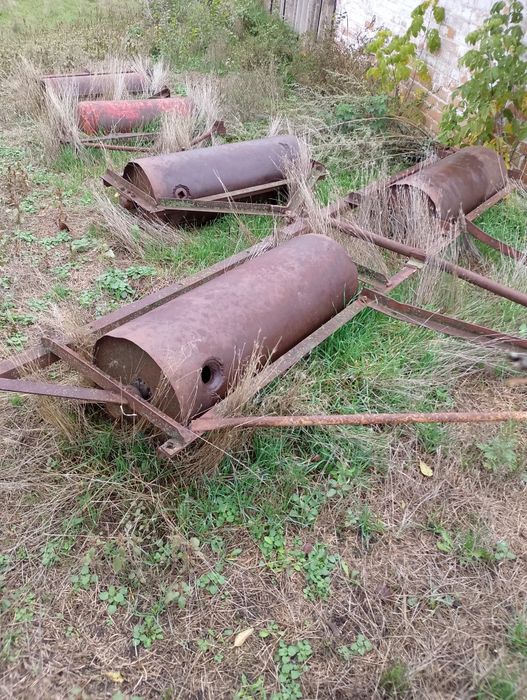 Продам котки гладкі