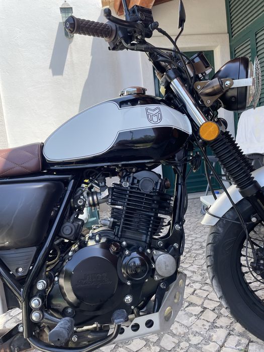 Mutt Mastiff 250