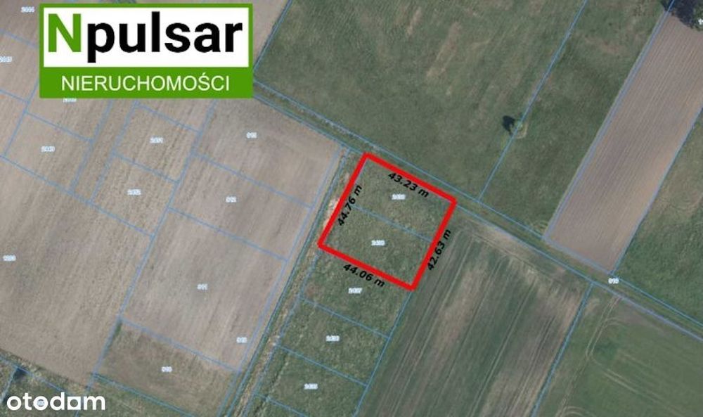 Działka budowlana w Czarnowąsach