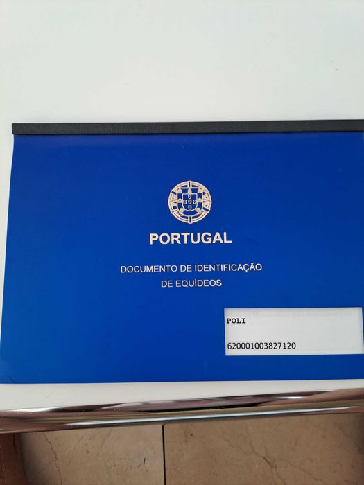 Poli. Vendo égua lusitana de 6 anos