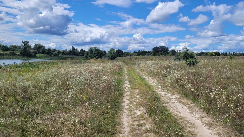 2-10га землі під ІЖБ, с.Мироцьке, Бучанська ТГ