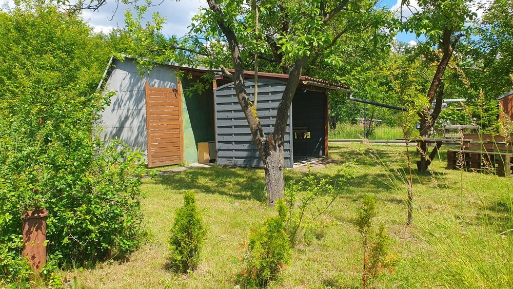 Działka ROD Kalina Wiaduktowa Wrocław blisko centrum 334 m² - zadbana, zaciszna, dużo zieleni - Widok 3