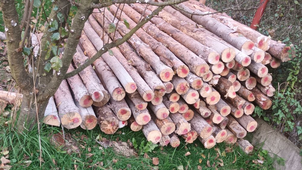 Stemple budowlane opał