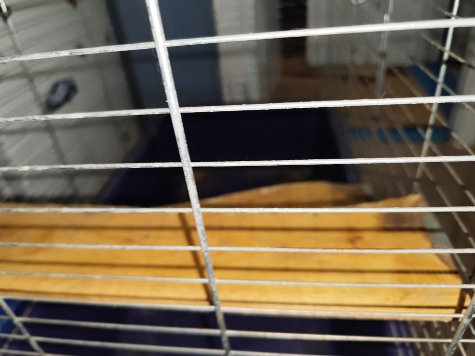 Клітка для шиншили чи кролика. Клетка . Дуже велика клітка.