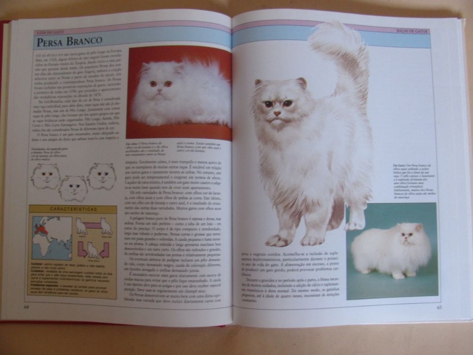 Guia do Gato de Marcus Schneck