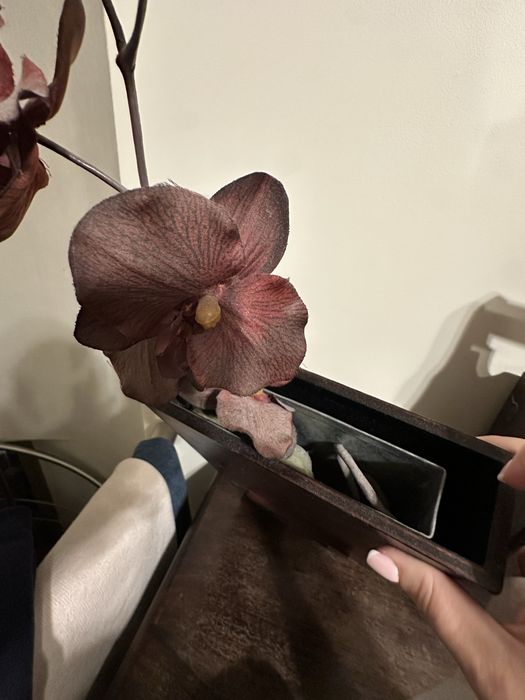 Drewniana dekoracja wazon