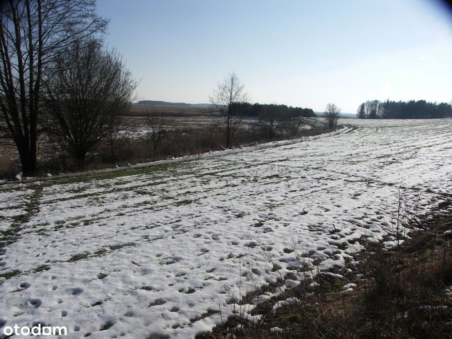 Atrakcyjna działka Okolcie Bokin 
dolina rzeki Narew