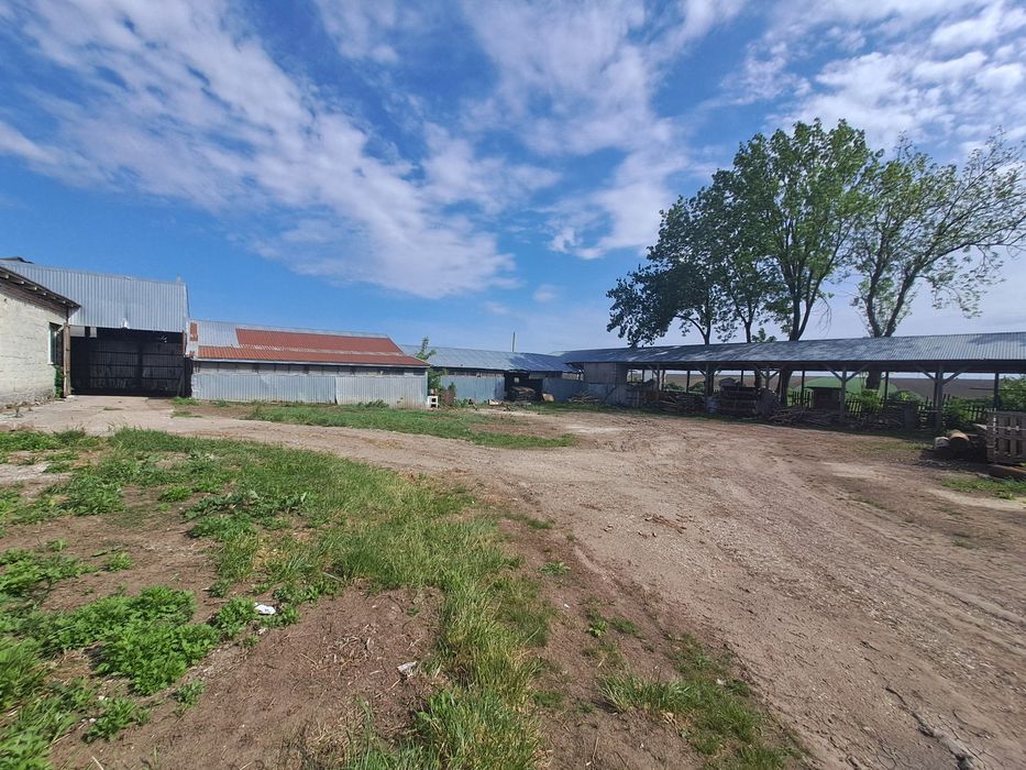 Продаж комерційного приміщення, с. Грабовець, 450 м²