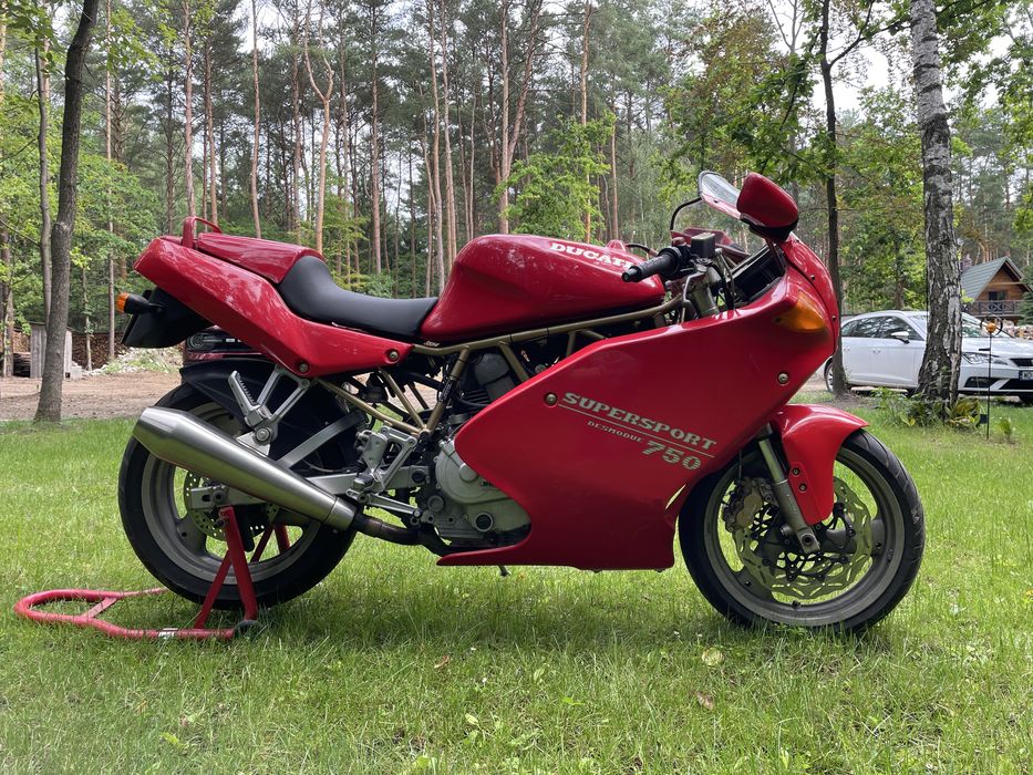 Ducati 750 ss papuga