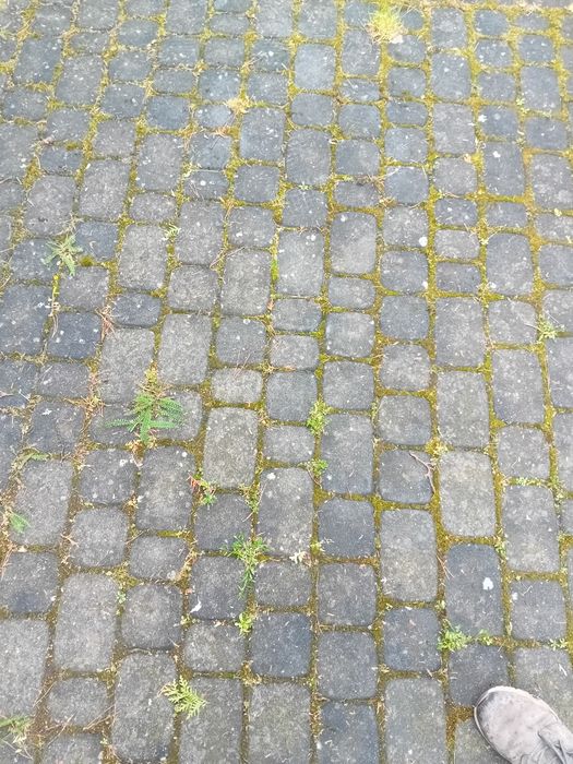 Mycie, malowanie, impregnacja
