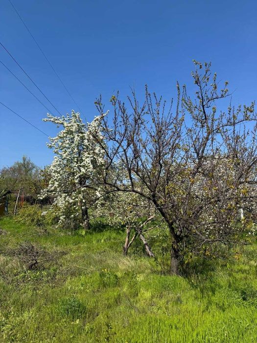 Продаж дачного будинку з ділянкою 7 соток, 16 кв. м
