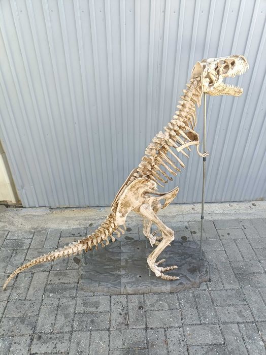 Escoleto de dinossauro