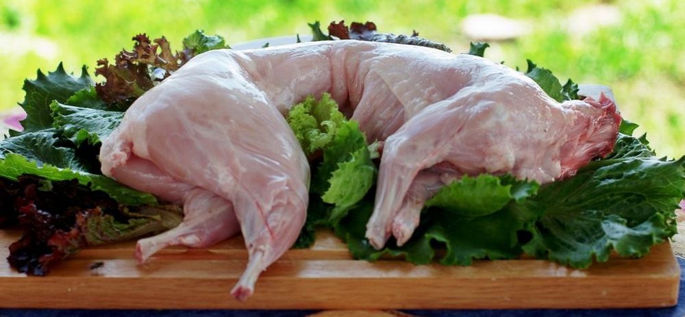 Продам м'ясо кроля