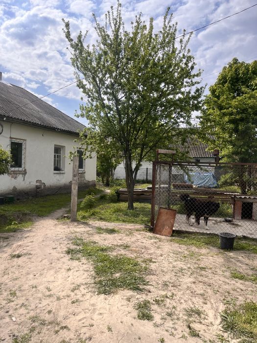 Торг‼️Будинок з землею 67.5сот.+ власне Озеро до р.Любич 10хв‼️