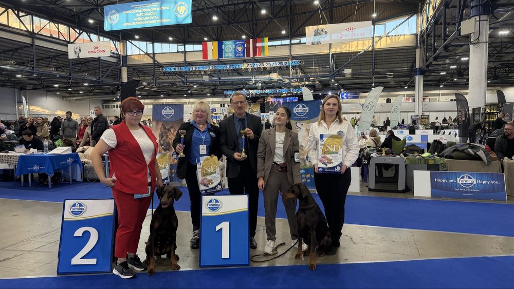 КСУ/FCI добермани