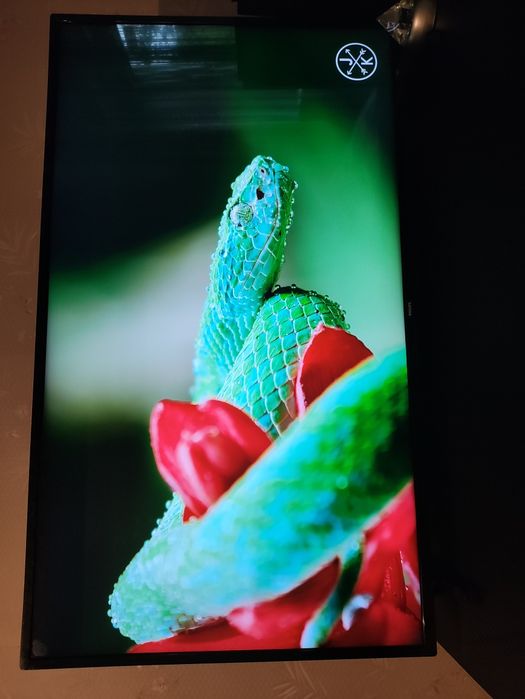 Телевізор Philips 43PUS7505/12 — 43 дюйми, 4K Ultra HD