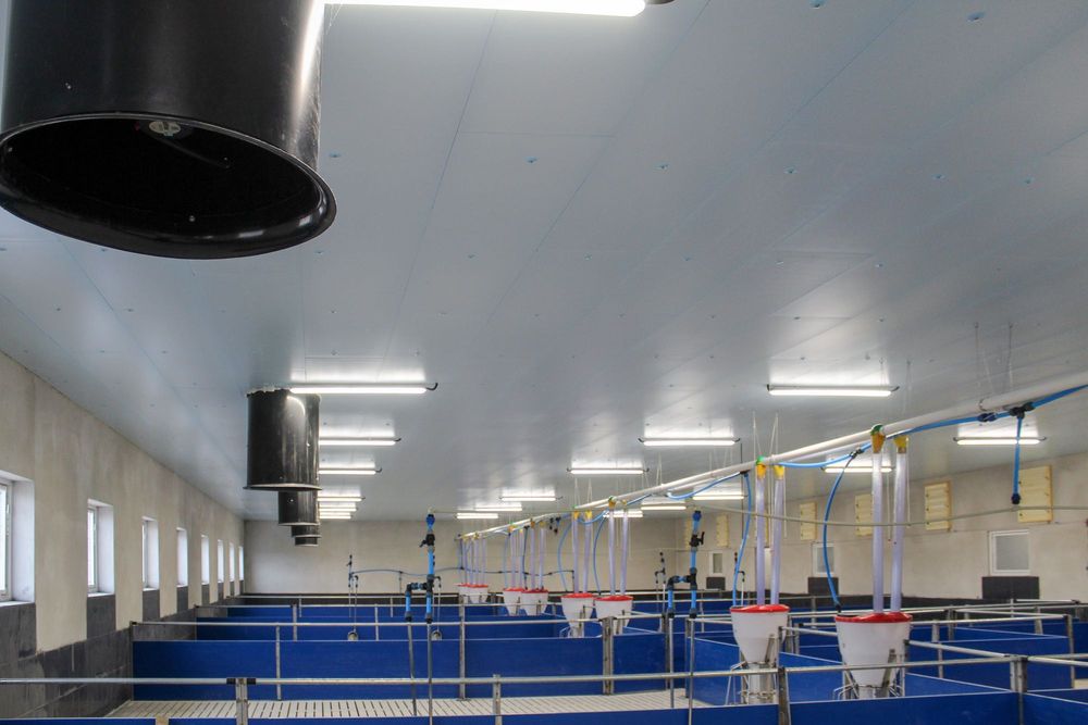 Podbitka Dachowa Budynku Inwentarskiego Magazynowego Styrodur XPS AGRO