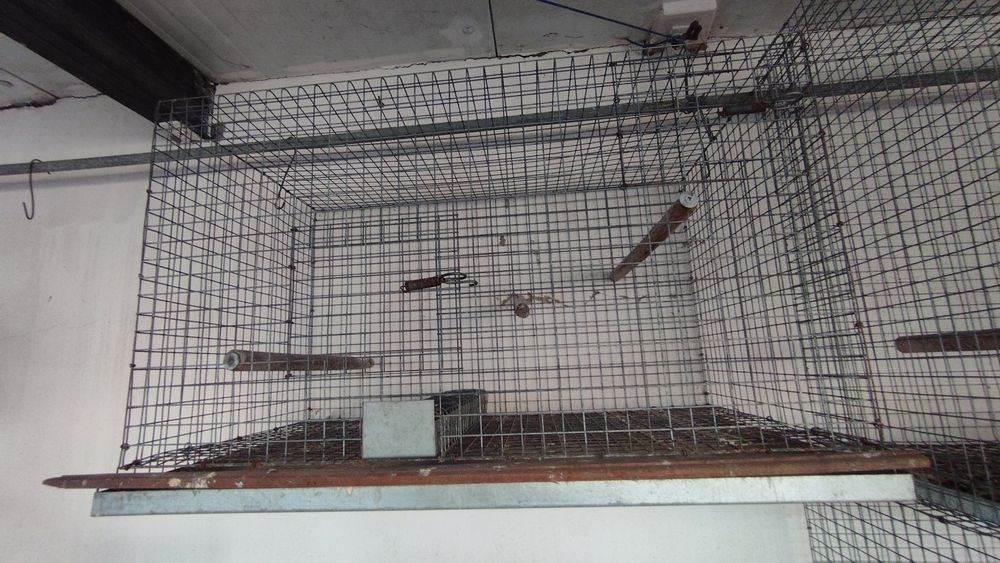 Viveiro para pássaros