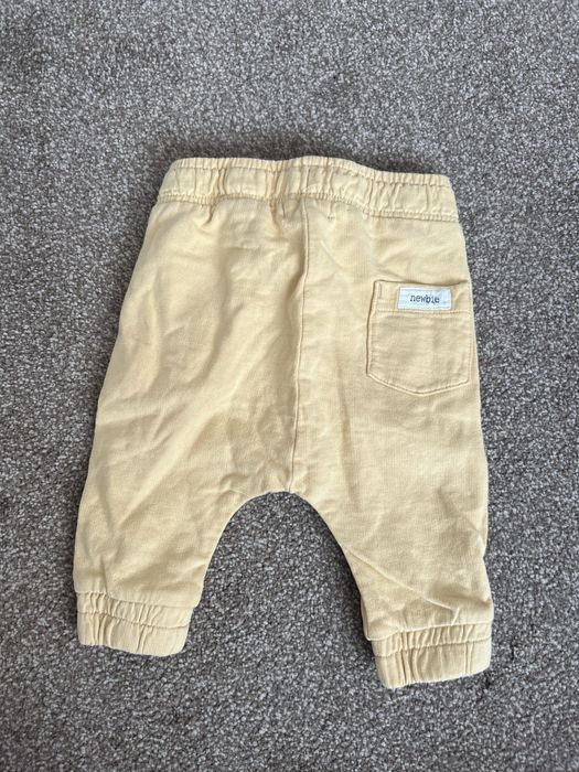 Spodenki newbie musztardowe 50