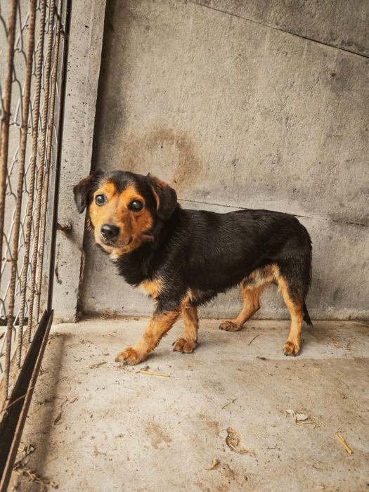 Travis nadal bez domu