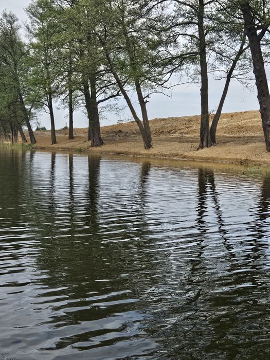 Działka PREMIUM nad Jeziorem z Własną Linią Brzegową | 3500 m²