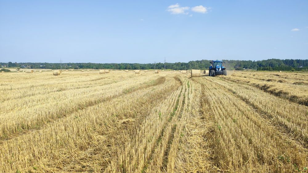 Słoma 120x120 z 2025r