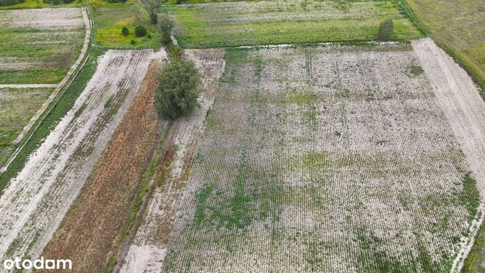 Działka inwestycyjna 8 683 m² - Ursynów - Widok 3