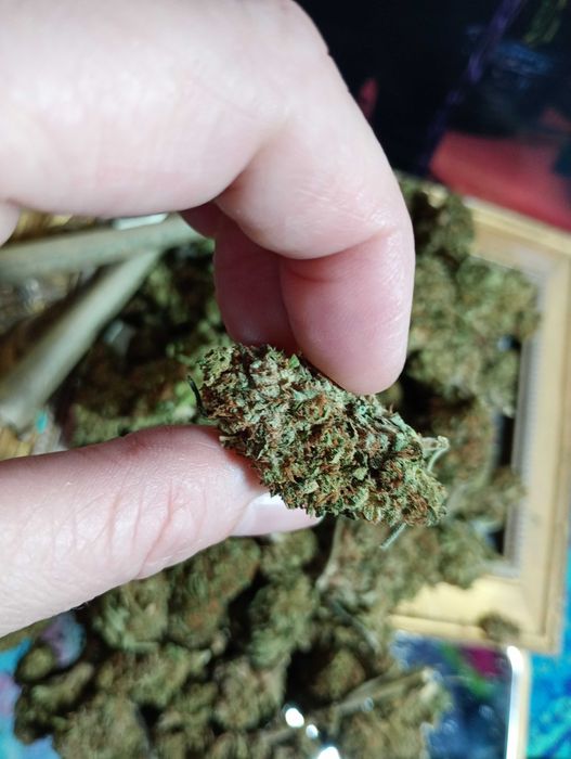 5g Godfather OG Susz Roślinny cbt cbl cbc Legalne ! Działa !