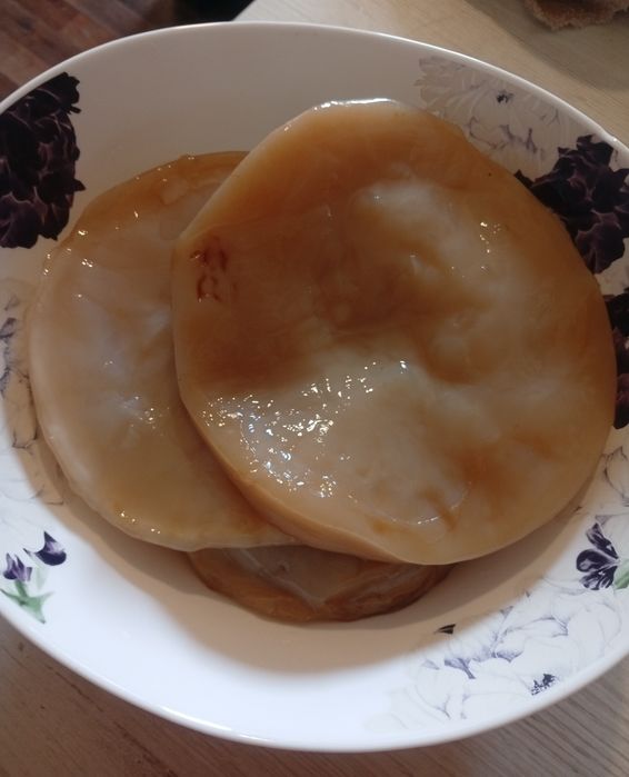 Комбуча(чайний гриб)