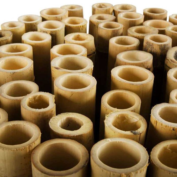 Ogrodzenie BAMBUS | Płot BAMBUSOWY