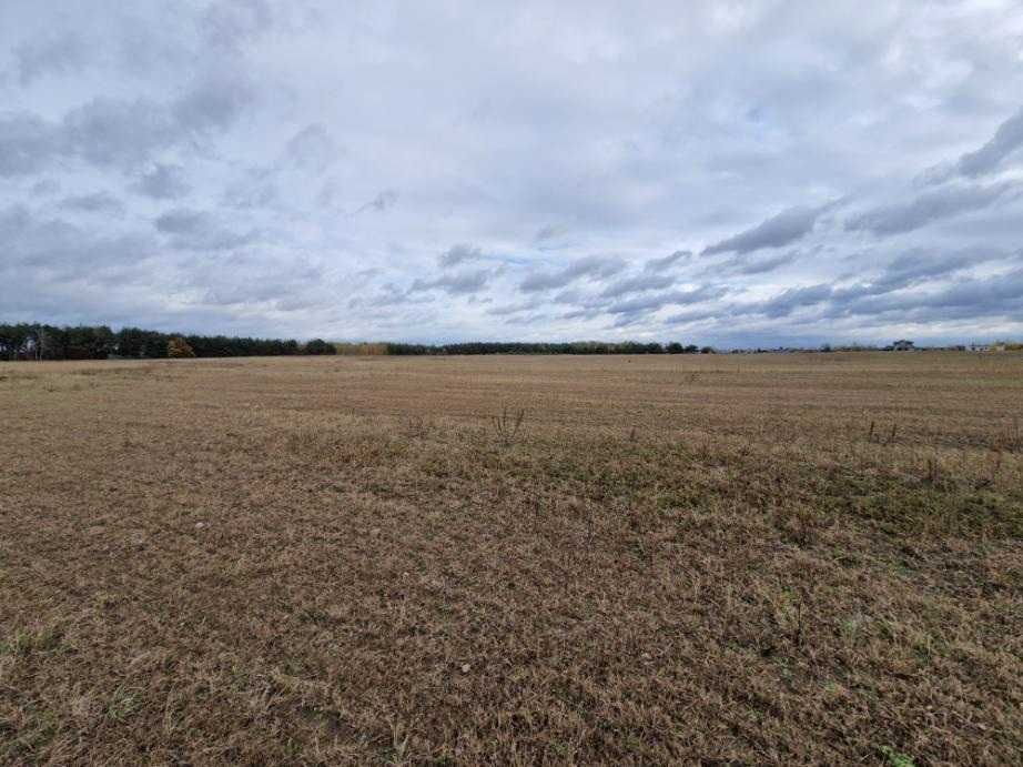 Działka z miejscowym planem pod zabudowę jednorodzinną, Łochowo 135/36