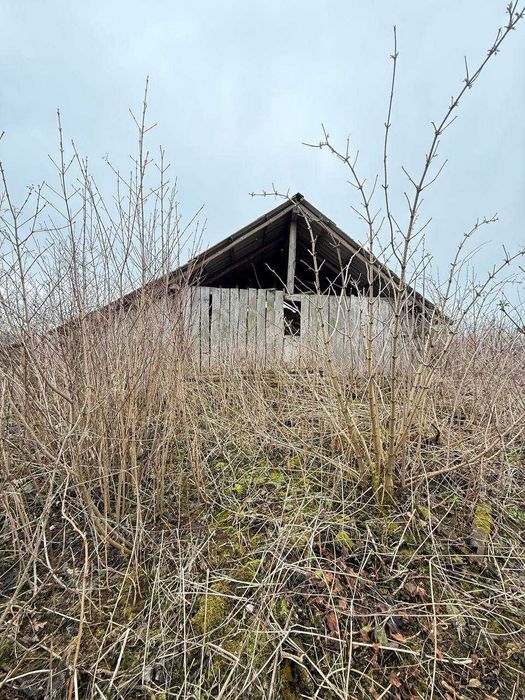 Продаж будинку в Павликівці