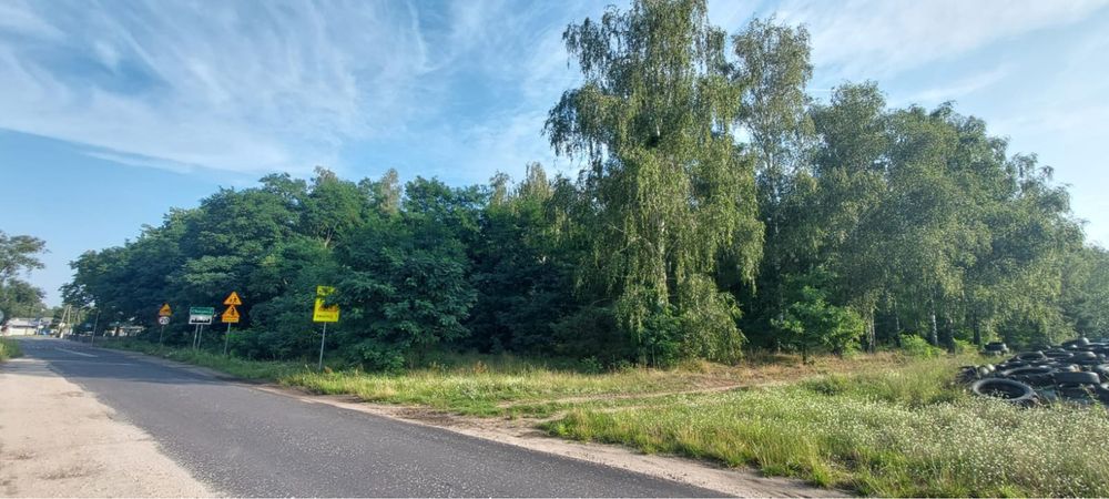 Działka leśna Las 1,28ha