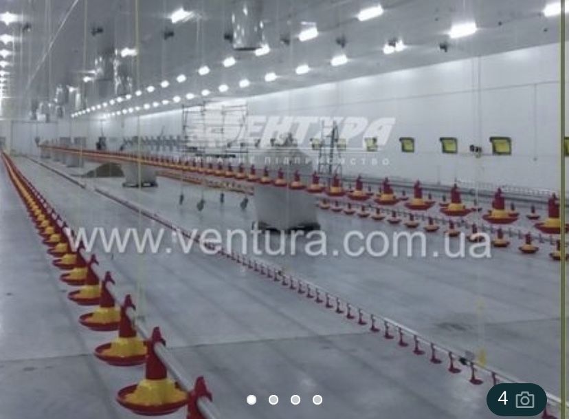 Обладнання для птахофабрик, мікроклімат , годівниці для бройлерів