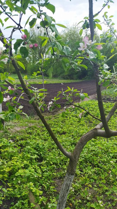 Продається будинок