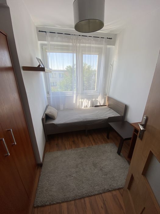 Pokoje na wynajem przy UMK