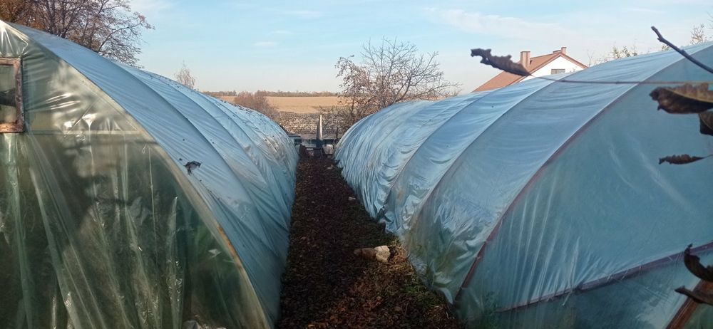 Продам  дві теплиці