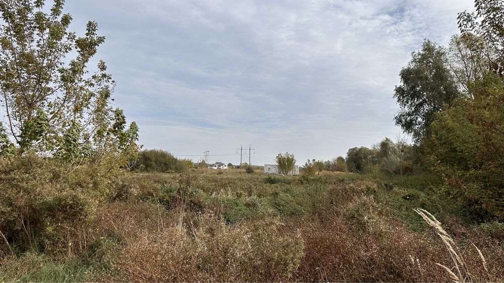 С. Білогородка , ділянки у Києво-Святошинський район.