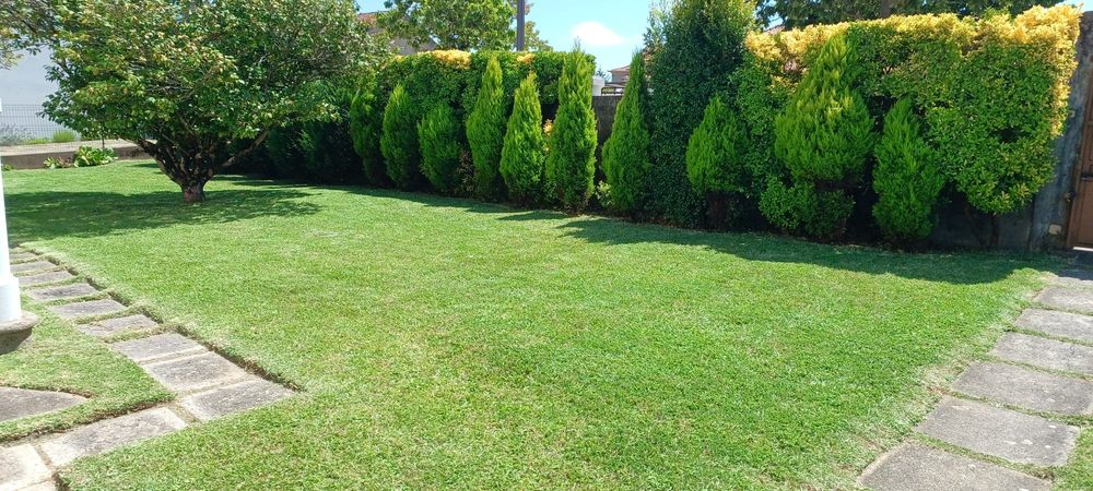 Serviços jardinagem