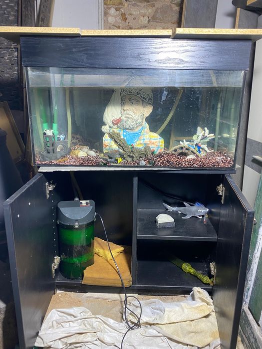 Aquário com móvel e bomba